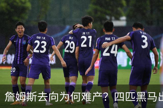 詹姆斯去向为何难产？四匹黑马出现加剧混乱